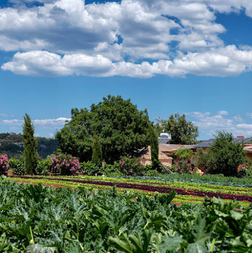 Comentarii opinii despre Hora Hvar