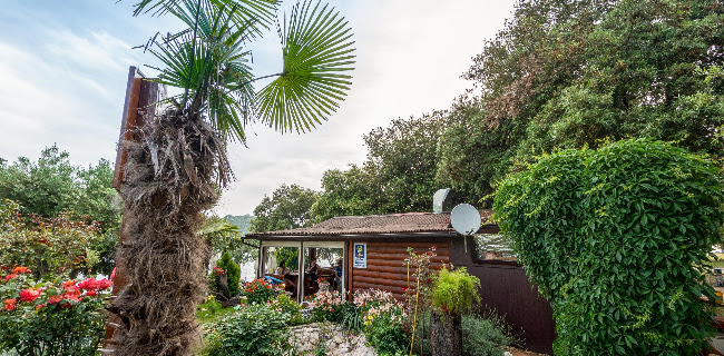 Comentarii opinii despre Orlandin