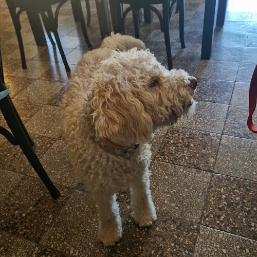 Comentarii opinii despre Konoba Gušti Poja