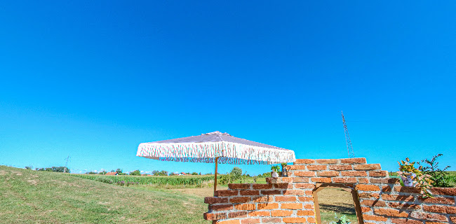 Narta 150, 43247, Narta