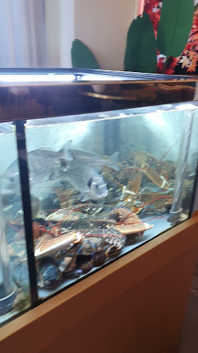 Restoran Struja - Gastronomija i ugostiteljstvo