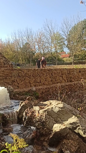 Comentarii opinii despre Ranc Mustang