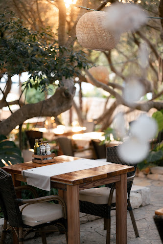 Comentarii opinii despre Bacchus