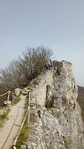 Planinarski dom Kalnik - Gastronomija i ugostiteljstvo