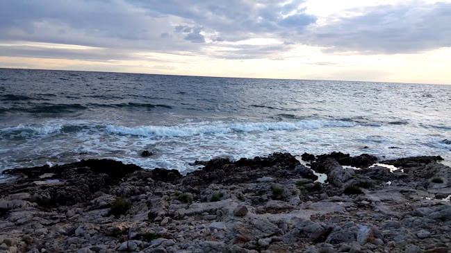 Comentarii opinii despre Snack Bar Blaž Fish, Grill, Pizza & more