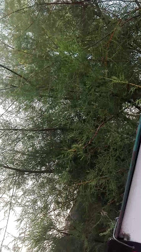 Comentarii opinii despre Restoran Plava plaža