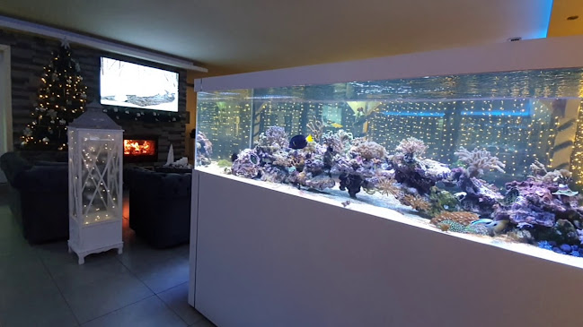 Opinii despre Caffe Bar Blue Up în Pregrada - Gastronomija i ugostiteljstvo