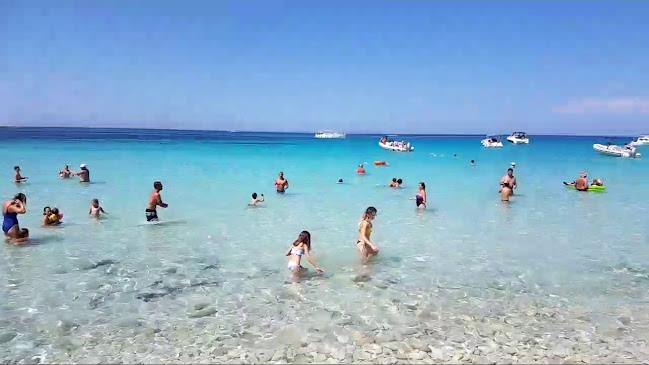 Danica - Veli Žal - Dragove