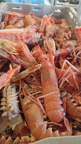 Restoran Kaiser - Gastronomija i ugostiteljstvo