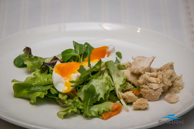 Restoran Shark - Gastronomija i ugostiteljstvo