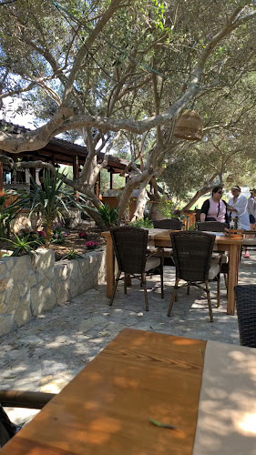 Opinii despre Bacchus în Hvar - Gastronomija i ugostiteljstvo