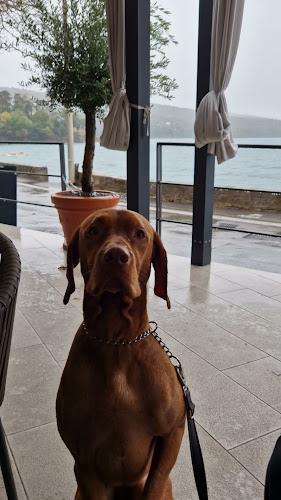 Opinii despre Caffe bar Vološćica în Opatija - Gastronomija i ugostiteljstvo