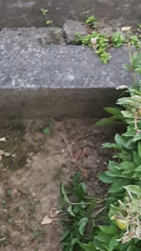 Opinii despre Grill Tomislav în Zagreb - Gastronomija i ugostiteljstvo