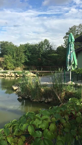 Kavana Bara - Grubišno Polje