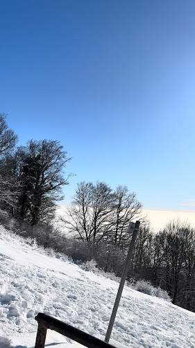 Planinarski dom Žitnica - Gastronomija i ugostiteljstvo