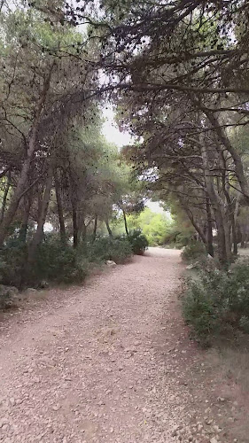 Lokvice, 22212, Tribunj