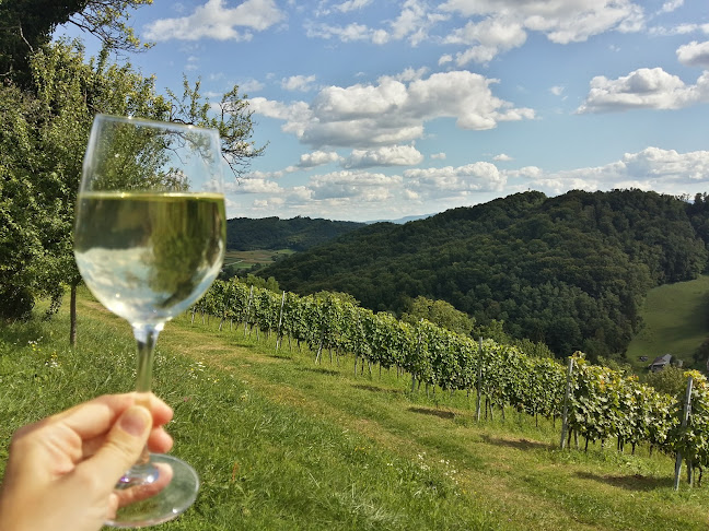 Opinii despre Restoran, vinarija i pansion Vuglec Breg în Škarićevo - Gastronomija i ugostiteljstvo