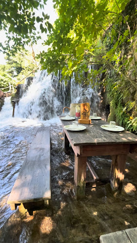 Opinii despre Seosko Domacinstvo Kristijan în Bogatić - Gastronomija i ugostiteljstvo