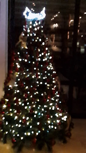 Opinii despre Antika Restaurant în Novi Vinodolski - Gastronomija i ugostiteljstvo