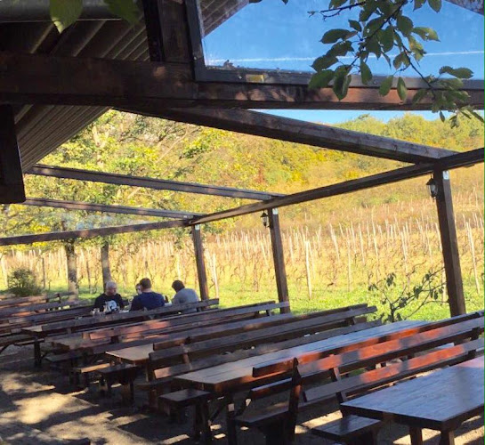 Comentarii opinii despre Konoba Studec