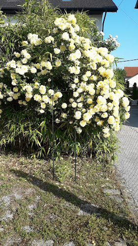 Ul. Milana Prpića 75, 49243, Oroslavje