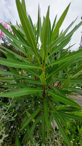 Bistro Grad - Gastronomija i ugostiteljstvo