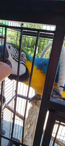 Restaurant LOPOČ - Kula Norinska