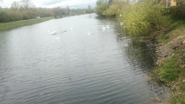 Comentarii opinii despre Izletište i restoran "Odranski ribič"