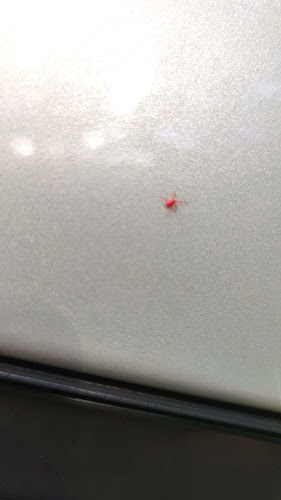 Opinii despre Impresso Bar în Zagreb - Gastronomija i ugostiteljstvo