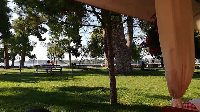 Gatto Blu novigrad - Novigrad