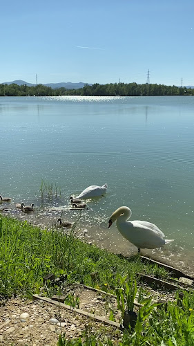 Comentarii opinii despre Restoran Jezero