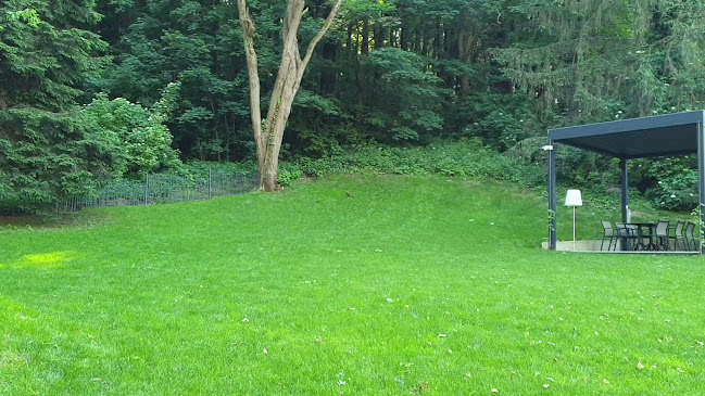 Comentarii opinii despre Restoran Štagelj