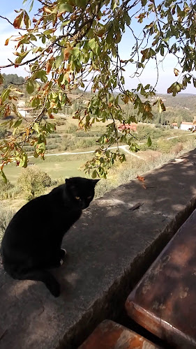 Konoba Oprtalj - Oprtalj