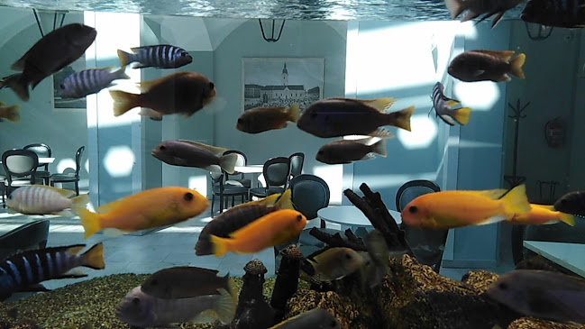 Opinii despre Lana Centar în Karlovac - Gastronomija i ugostiteljstvo