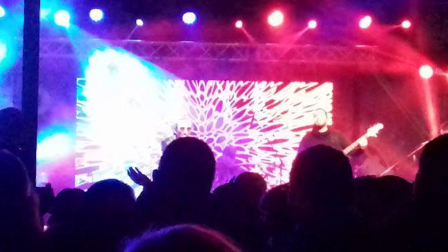 Caffe bar San Antonio - Gastronomija i ugostiteljstvo