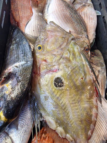 Ul. Radoslava Cimermana 64A, 10000, Zagreb