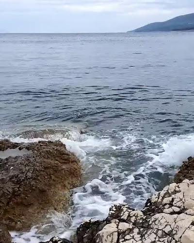 Pingo 2 - Gastronomija i ugostiteljstvo