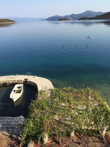 Villa Dalma - Gastronomija i ugostiteljstvo