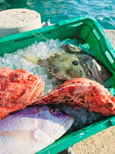 Ribarski Dvor - Prvić Šepurine