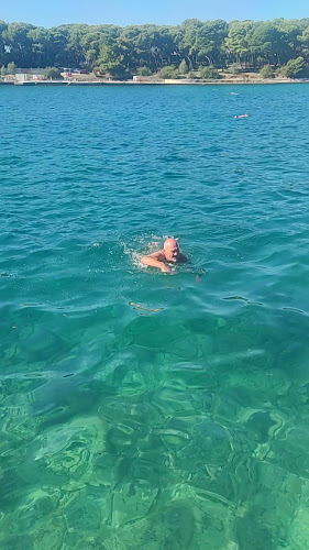 Bistro Valkane - Gastronomija i ugostiteljstvo