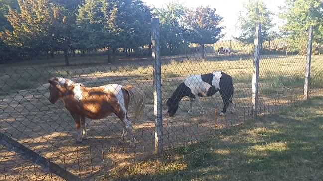 Ul. kralja Tomislava 31, 32100, Vinkovci