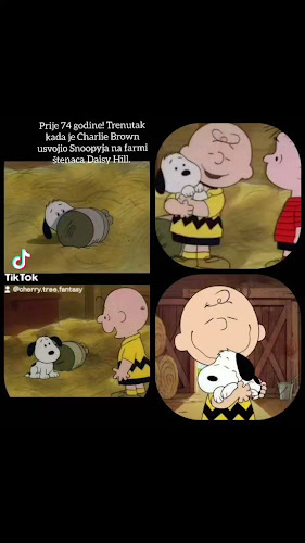 Mošćenička ul. 1, 10000, Zagreb