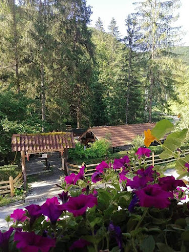 Stojdraga 1, 10432, Stojdraga