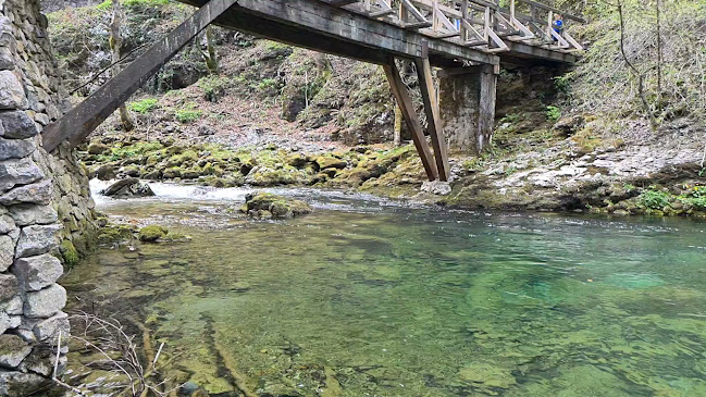 Comentarii opinii despre Restoran Kamačnik