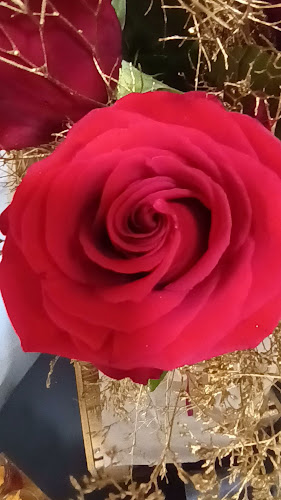 Lukovdolska ul. 11, 10360, Sesvete