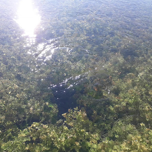 Caffe Bar Cetina - Obrovac Sinjski