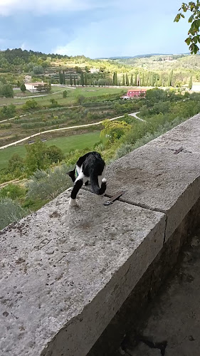 Konoba Oprtalj - Gastronomija i ugostiteljstvo