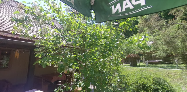 Comentarii opinii despre Izletište Kršlinov mlin