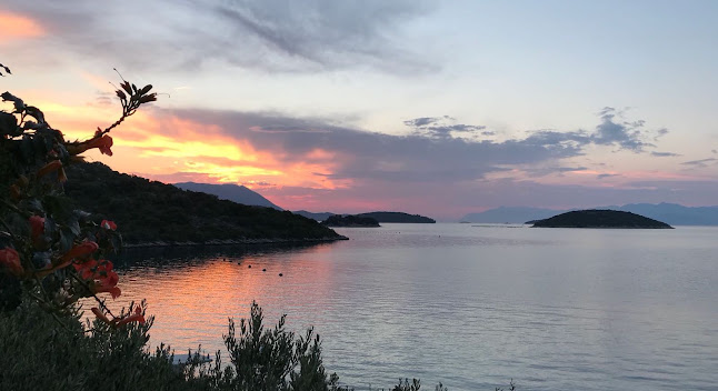 Opinii despre Villa Dalma în Putniković - Gastronomija i ugostiteljstvo