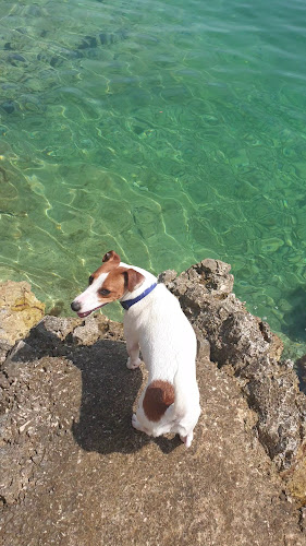 donja vala 52 drvenik 21333, 21333, Drvenik